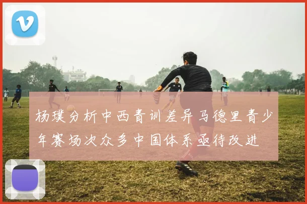 杨璞分析中西青训差异马德里青少年赛场次众多中国体系亟待改进