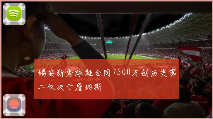 锡安新秀球鞋合同7500万创历史第二仅次于詹姆斯