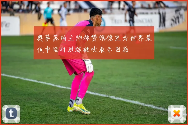 奥萨苏纳主帅称赞佩德里为世界最佳中场对进球被吹表示困惑